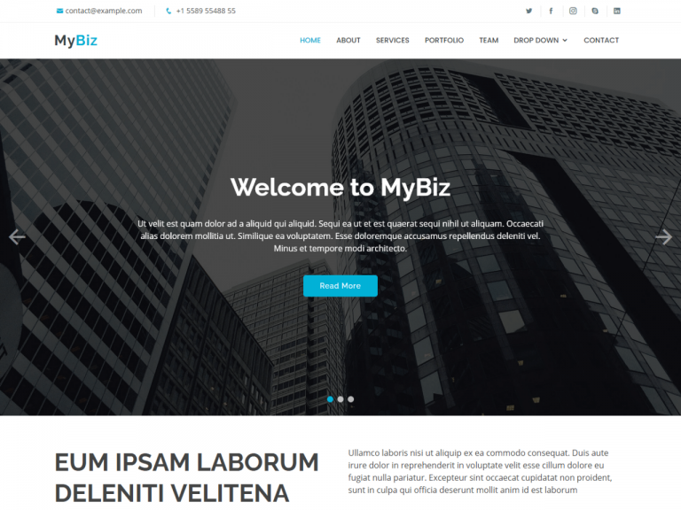 MyBiz - 免费商业 Bootstrap 主题
